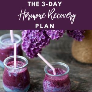 Menopause Hormone Recovery Plan Image